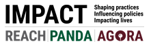 Impact Initiatives logo